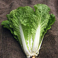 Капуста пекинская Хибинская