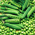 Горох овощной Вега Горох овощной Вега