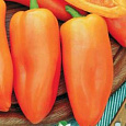 Перец Сладкий Янтарь Перец Сладкий Янтарь