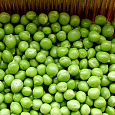 Горох  Сахарный 2 Горох  Сахарный 2