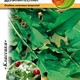 Рукола (Индау) обыкновенная Деликатесная Рукола (Индау) обыкновенная Деликатесная