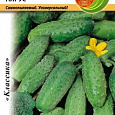 Огурец  Парус F1 Огурец  Парус F1
