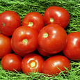 Томат Волгоградец Томат Волгоградец