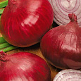 Лук репчатый Брунсвик Лук репчатый Брунсвик